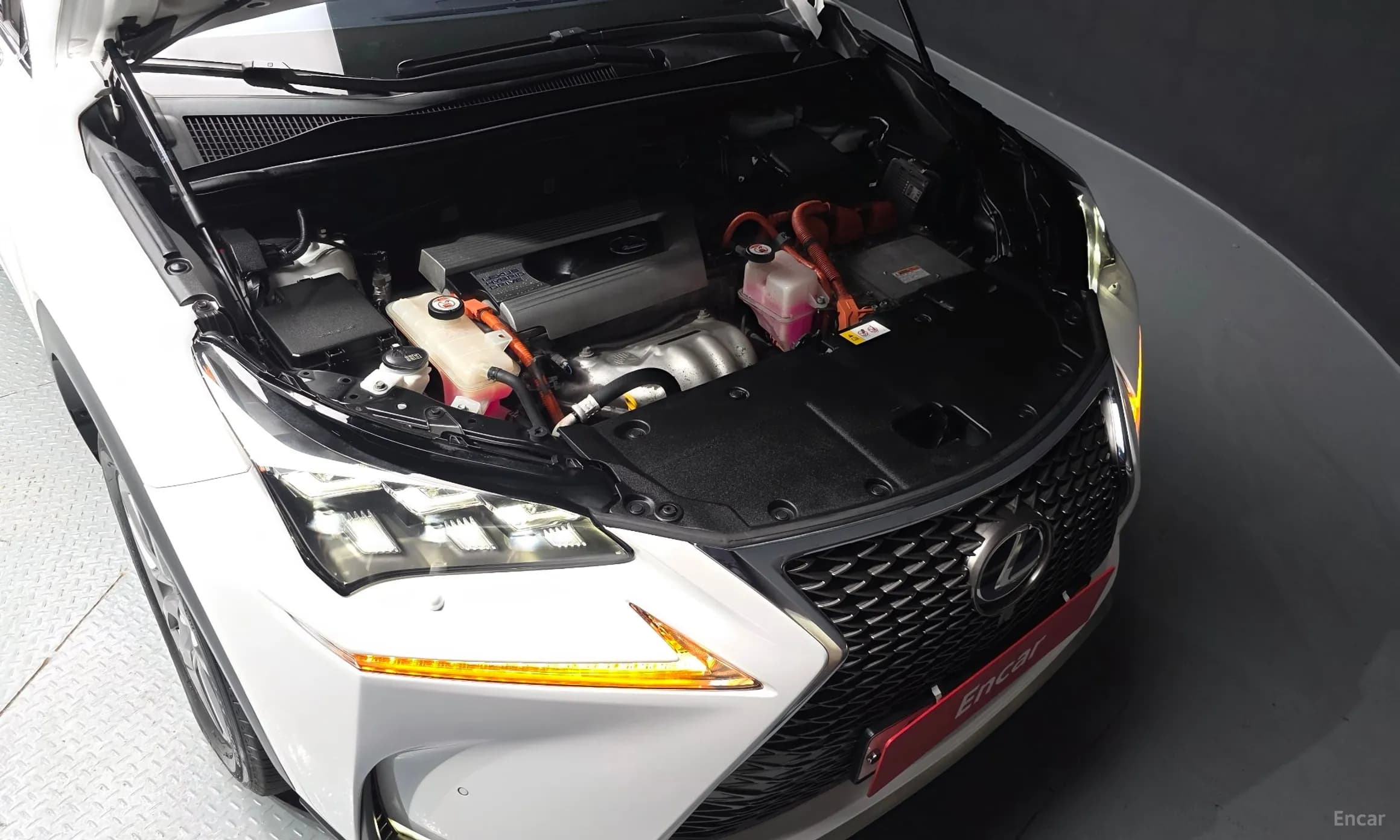 NX300h