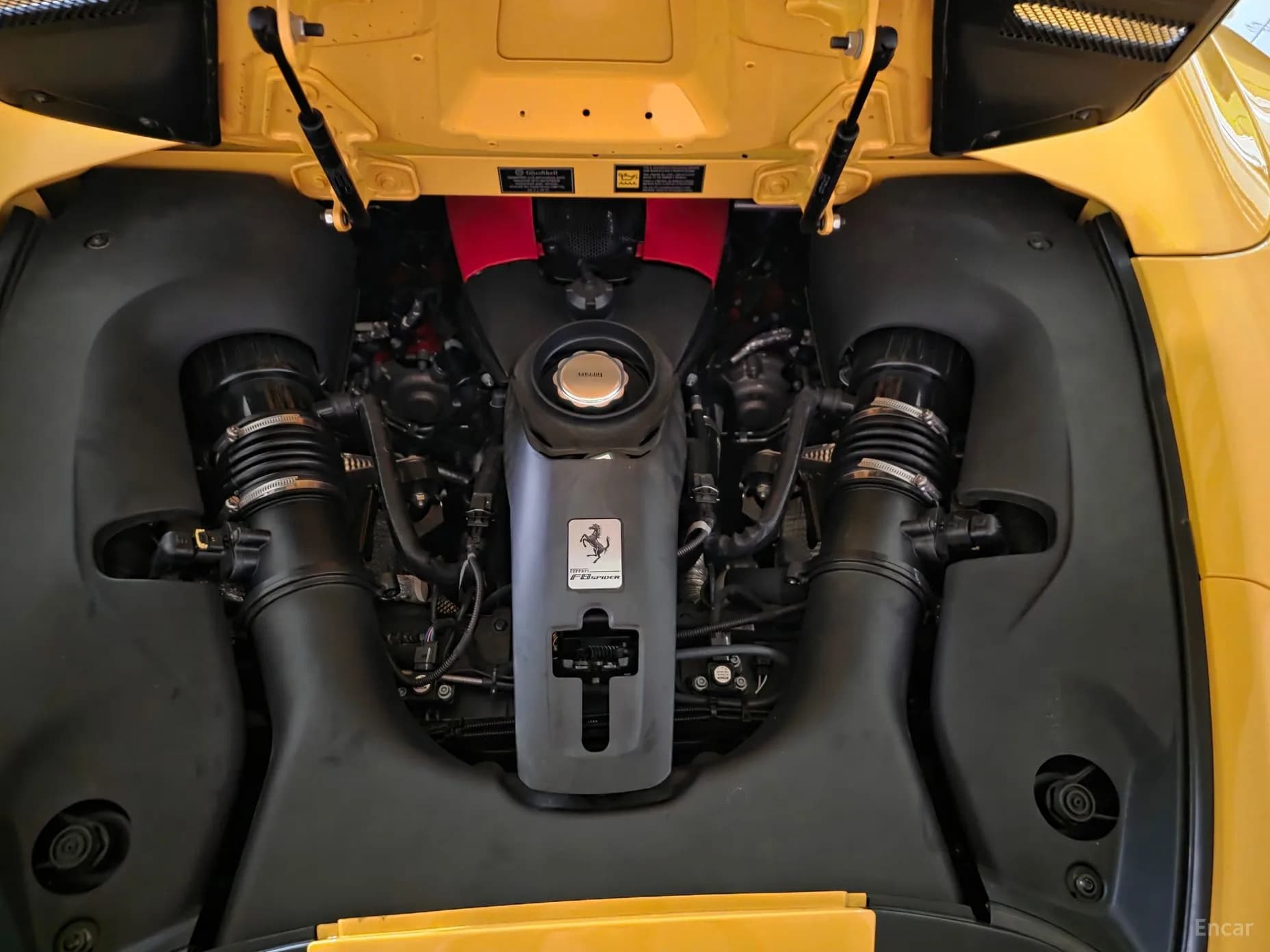 F8 Spider