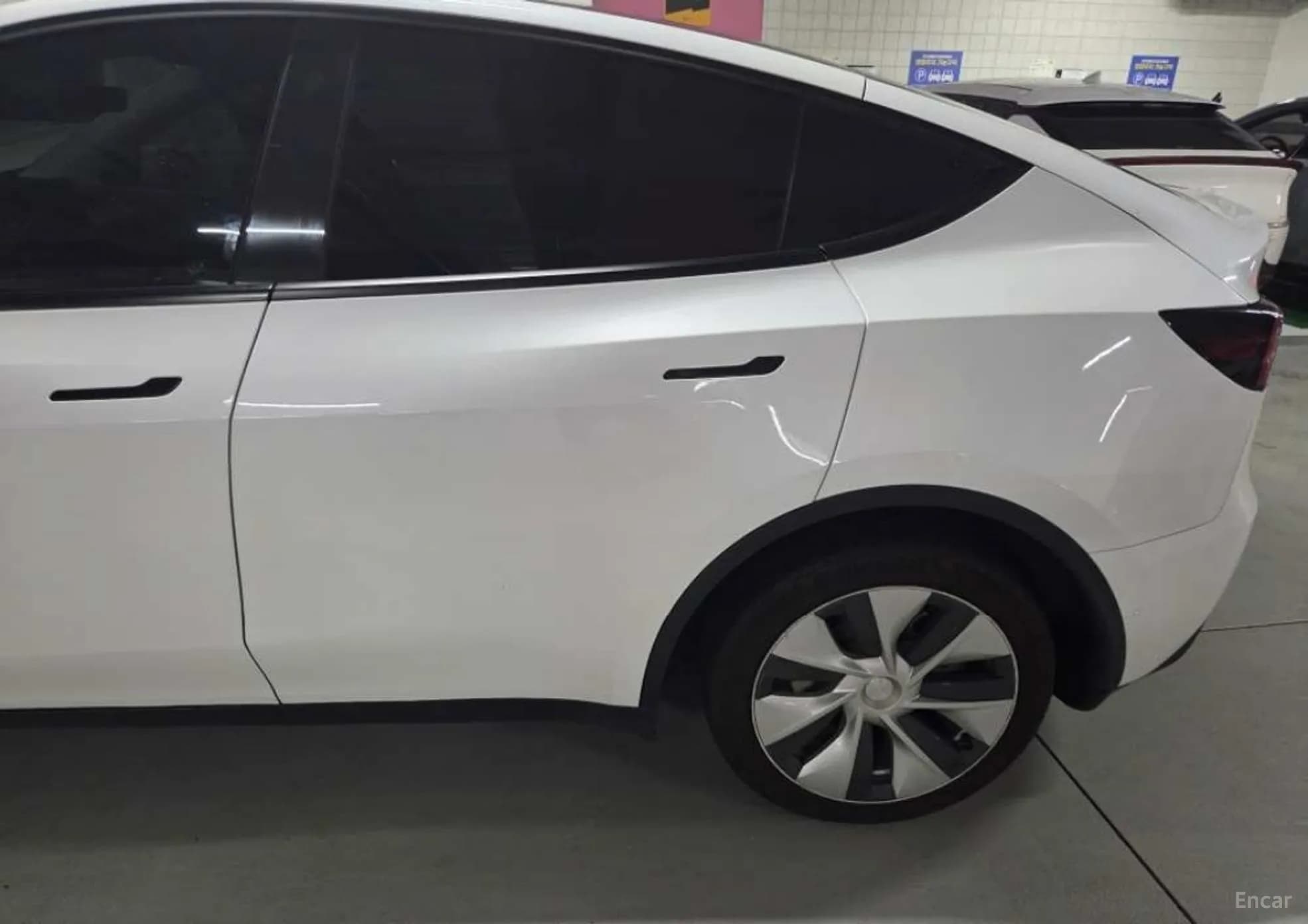 Model Y