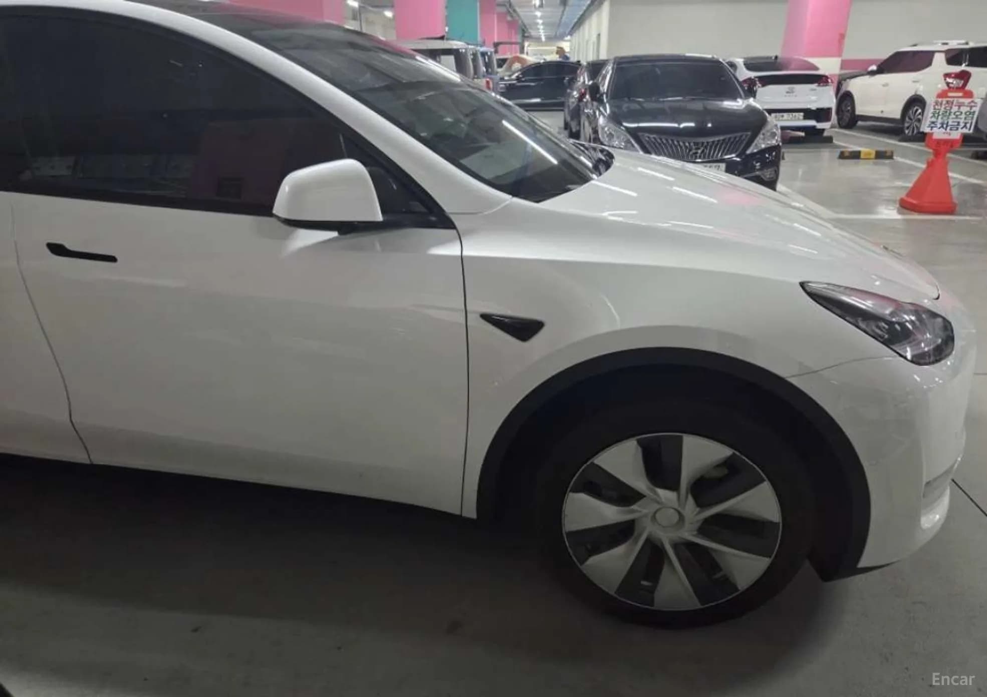 Model Y