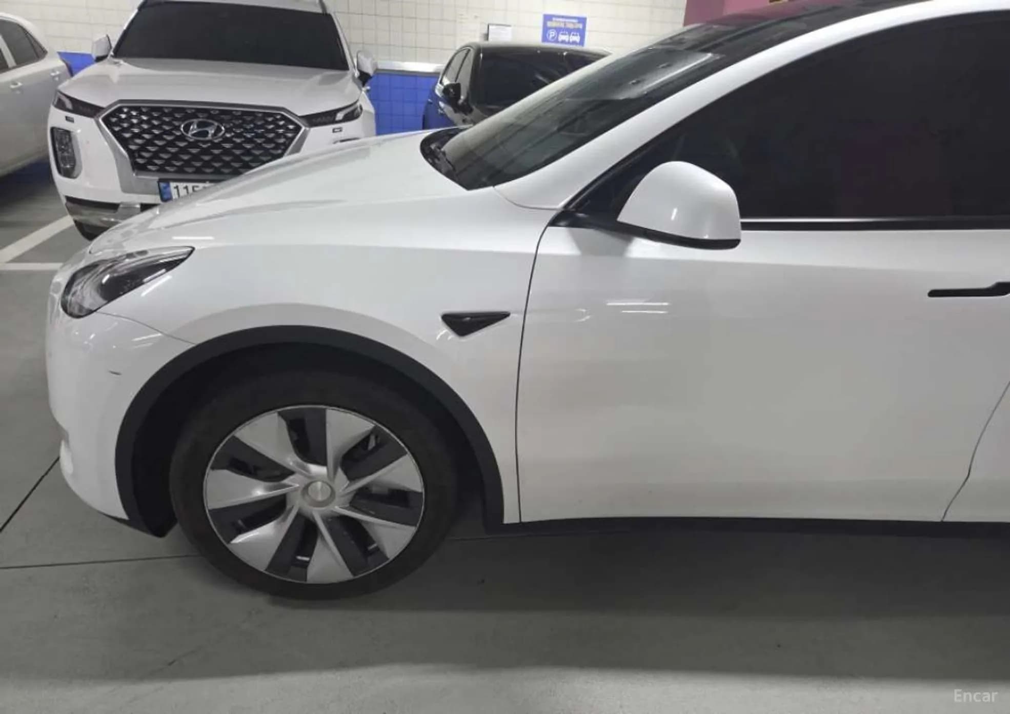 Model Y