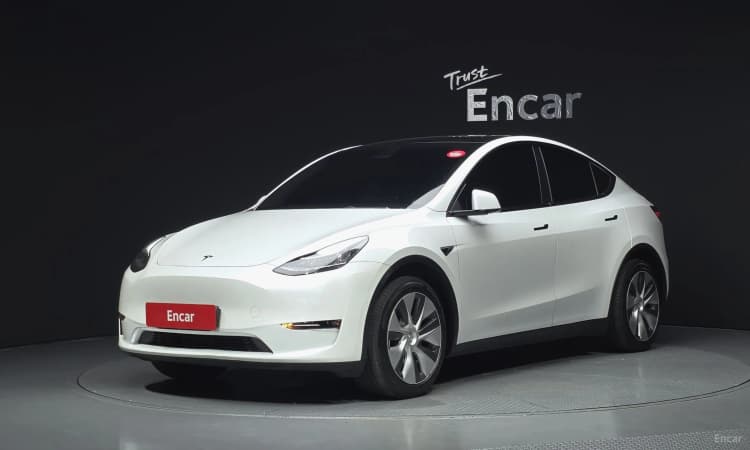Model Y
