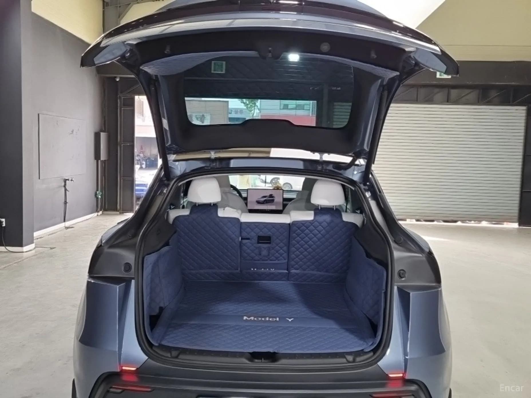 Model Y