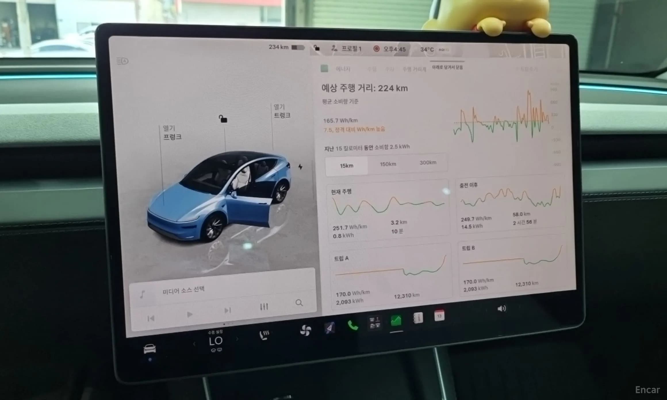 Model Y