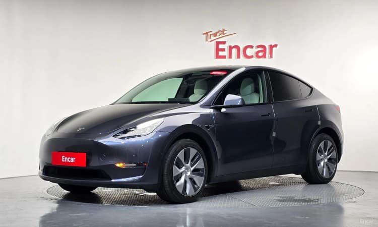 Model Y
