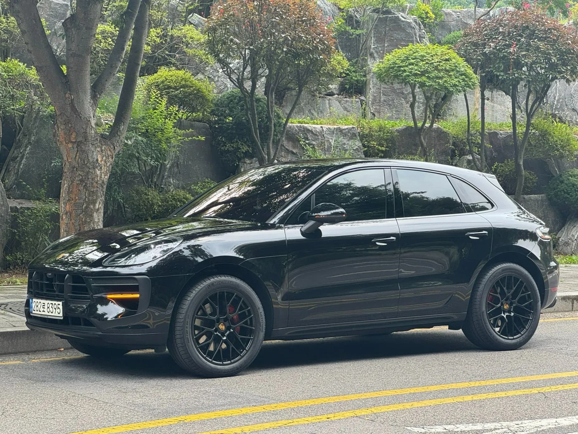 Macan