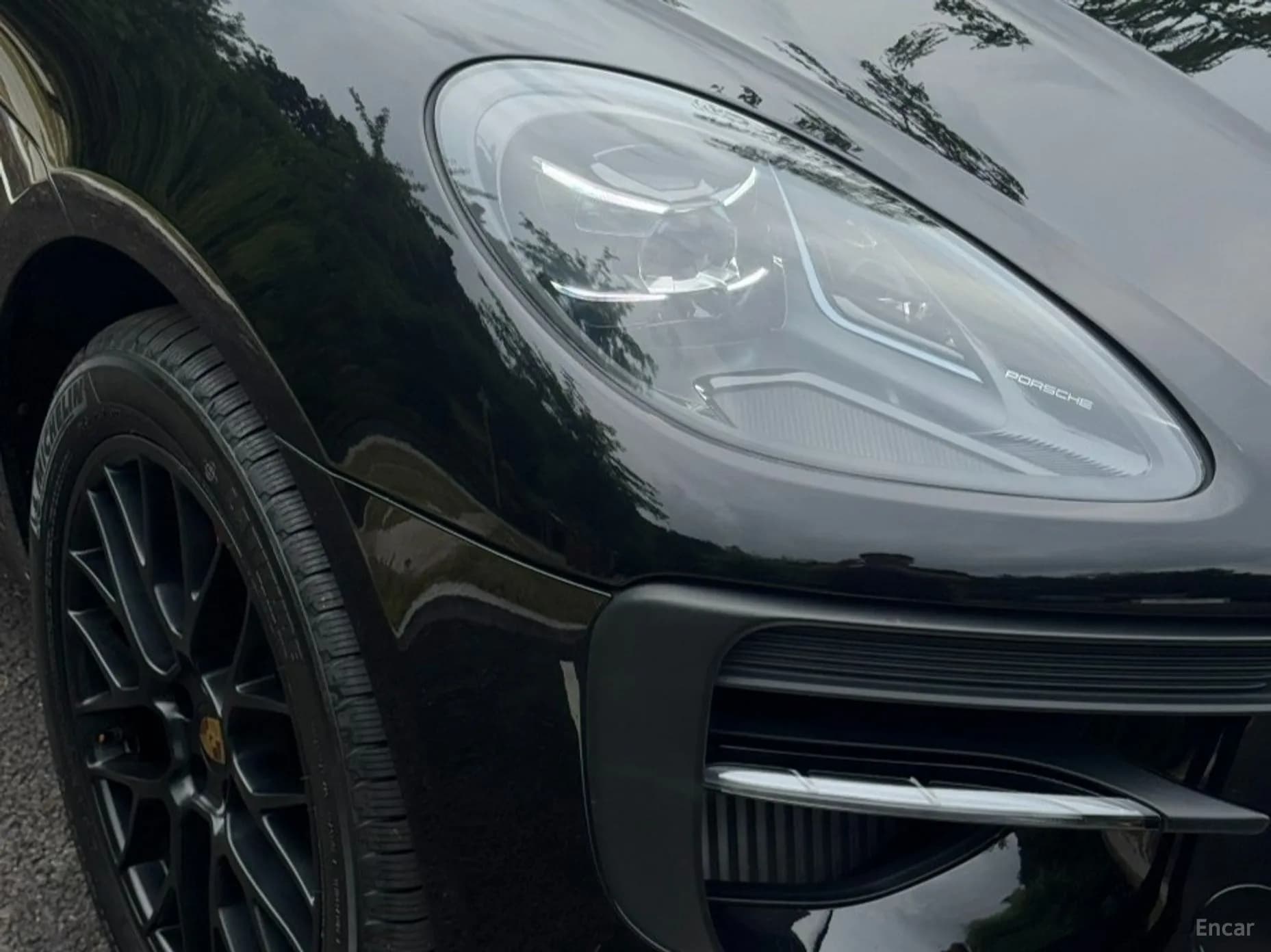 Macan