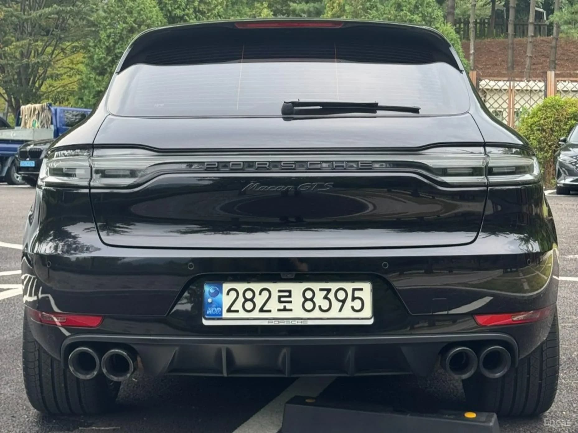 Macan