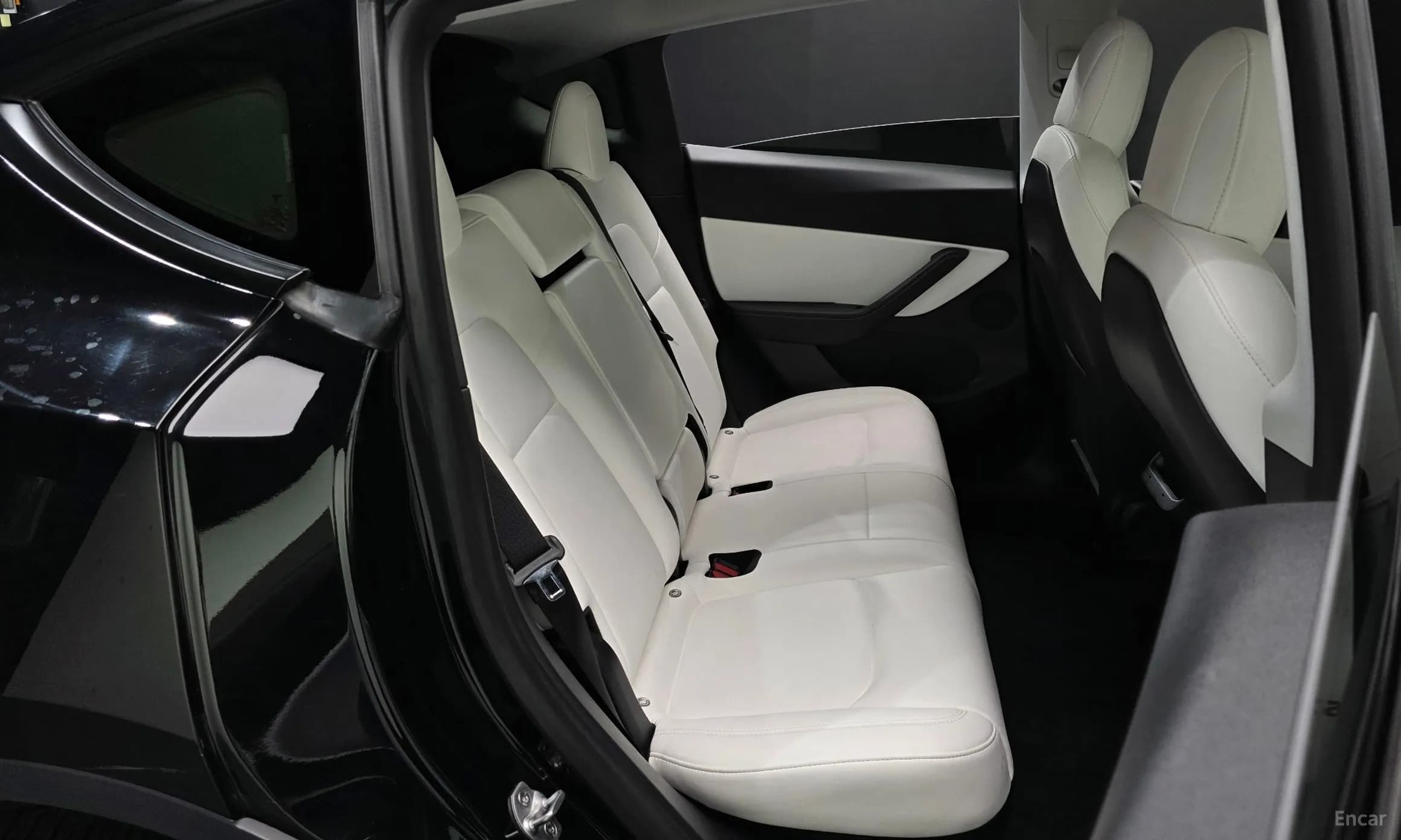 Model Y