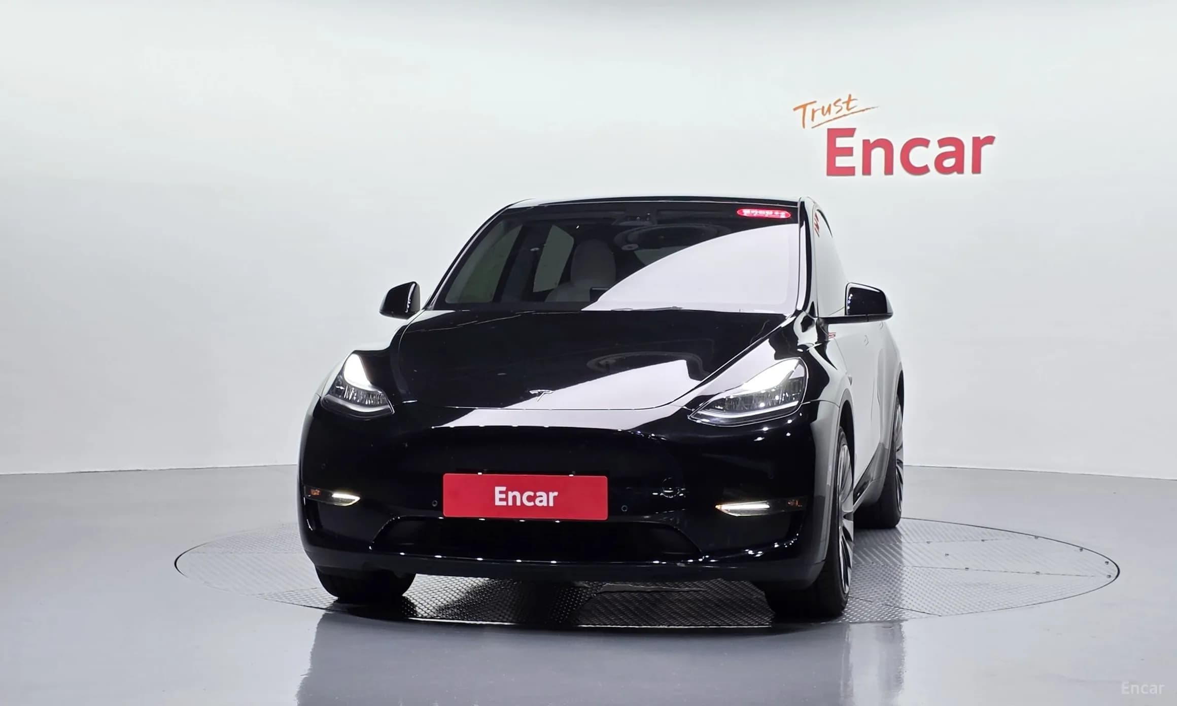 Model Y