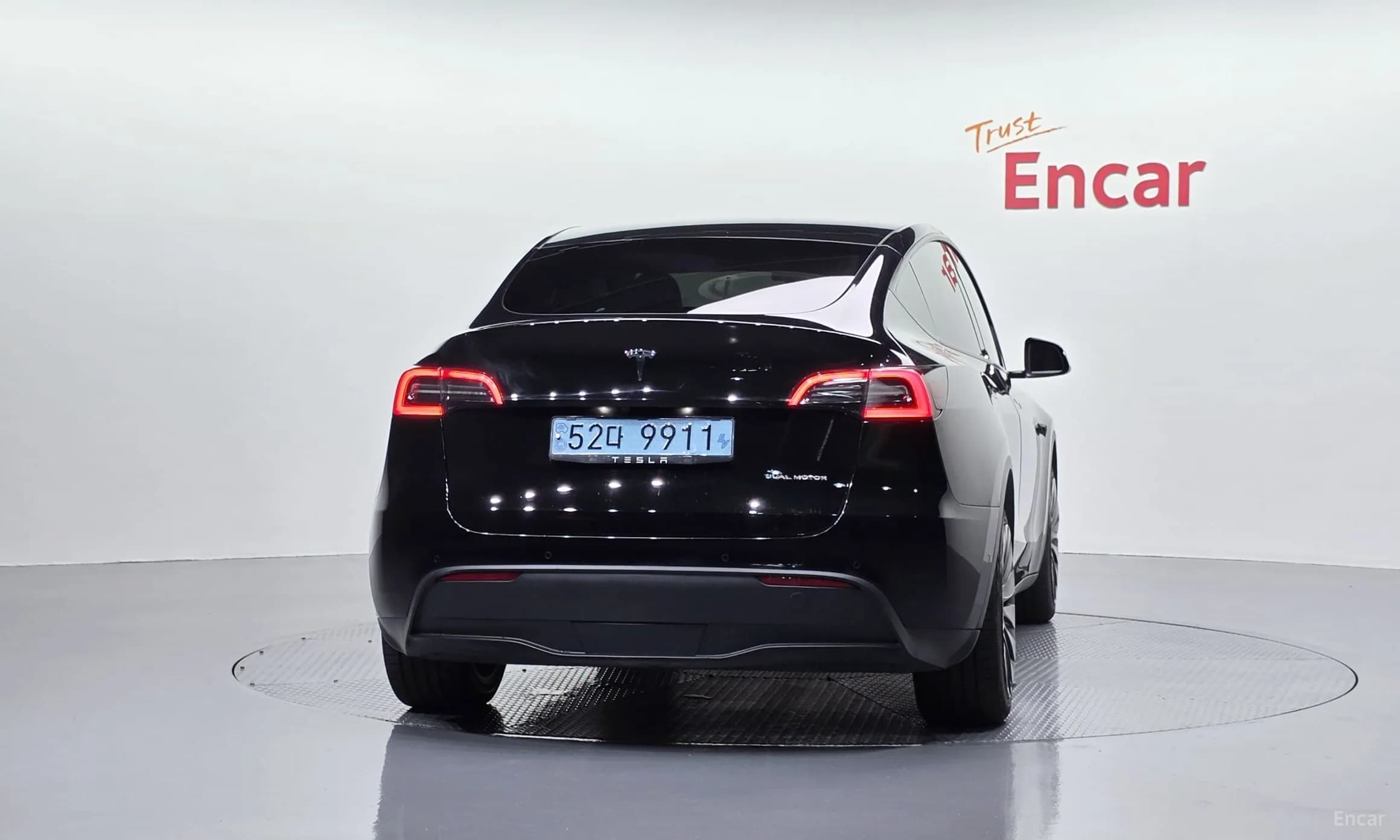 Model Y
