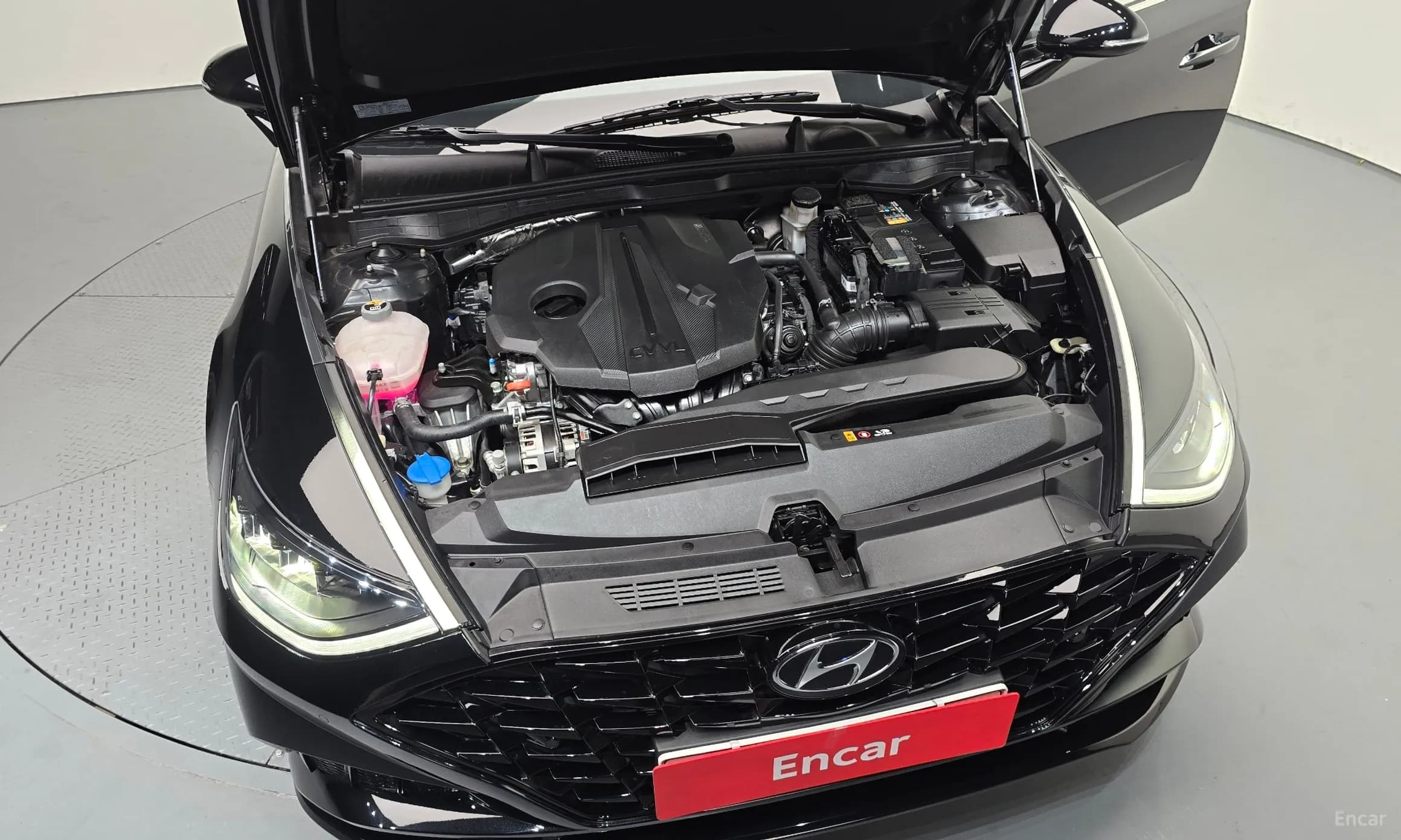 Sonata (DN8)
