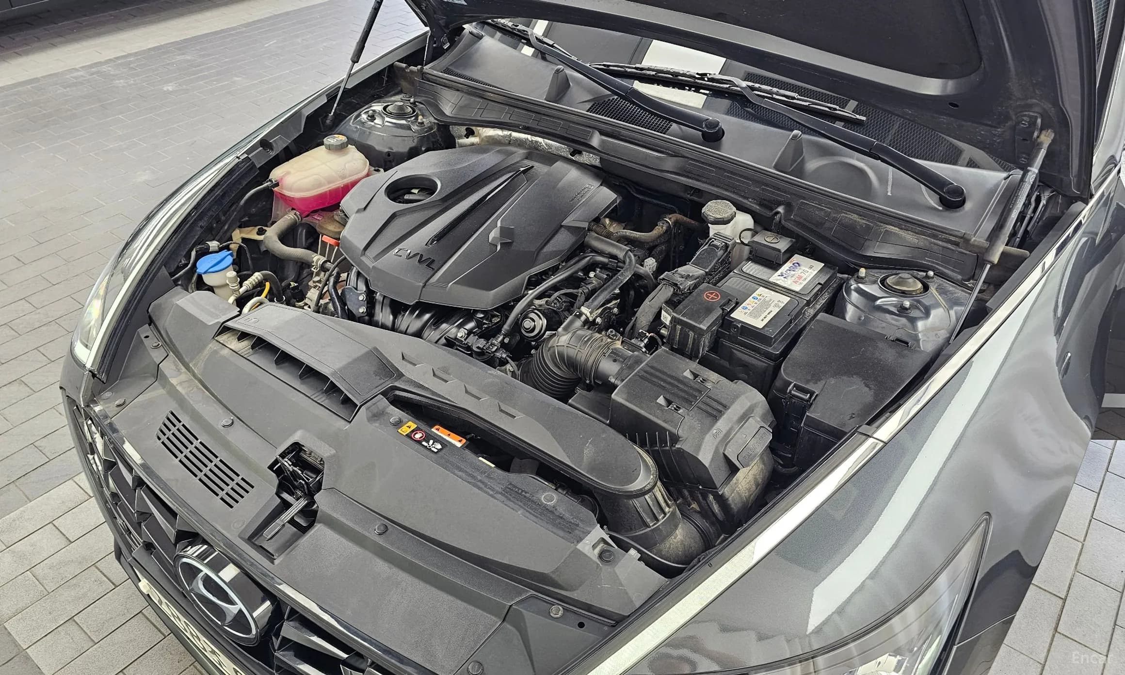 Sonata (DN8)