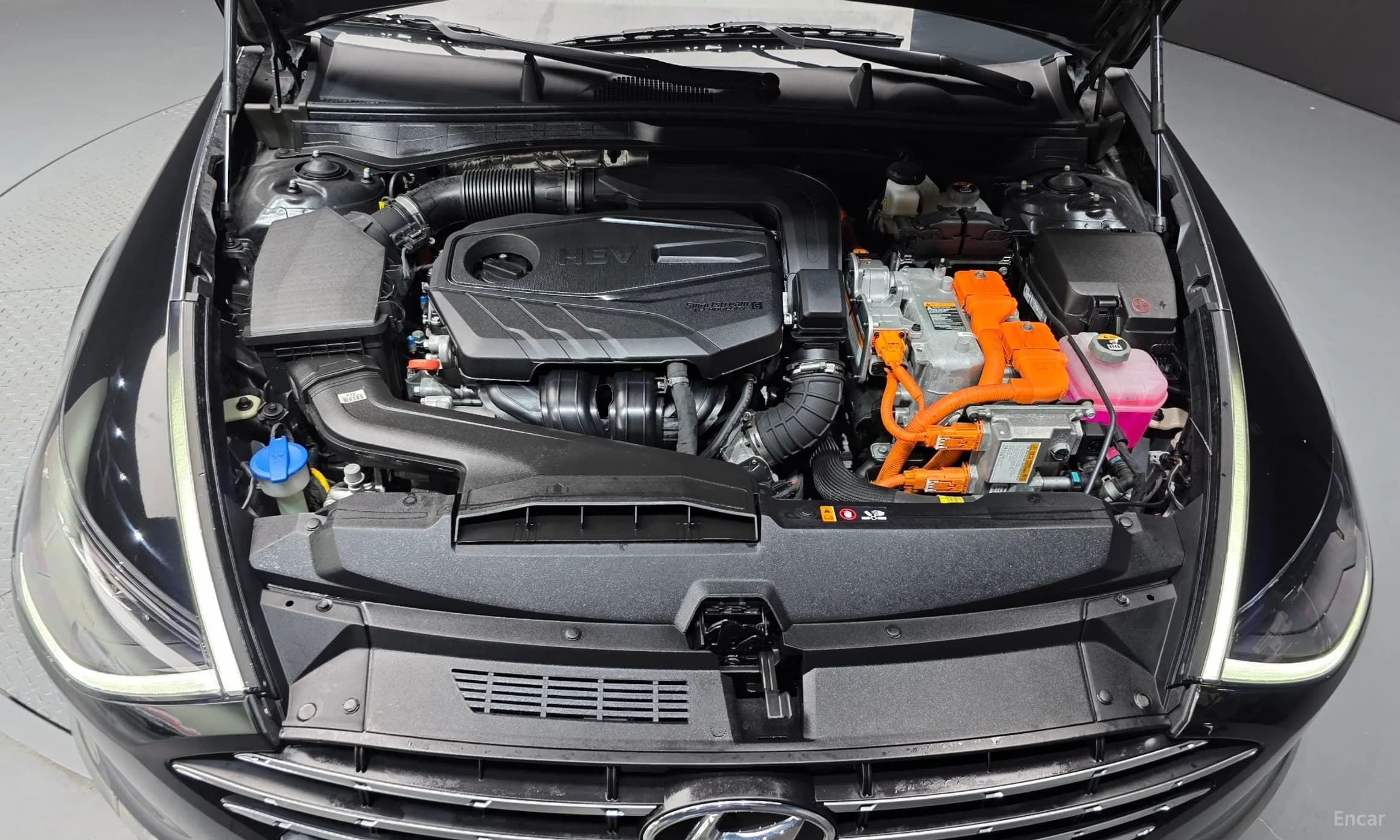 Sonata Hybrid (DN8)