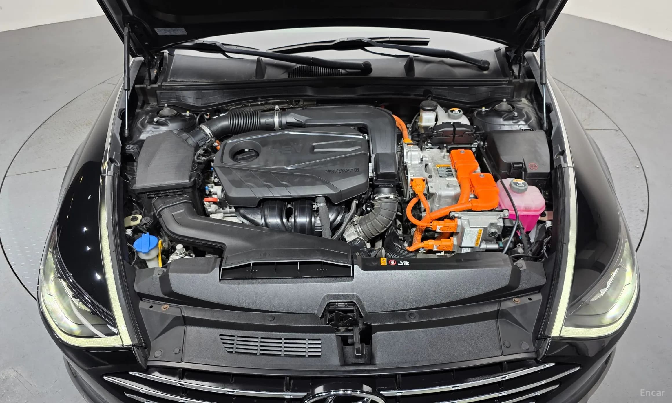 Sonata Hybrid (DN8)