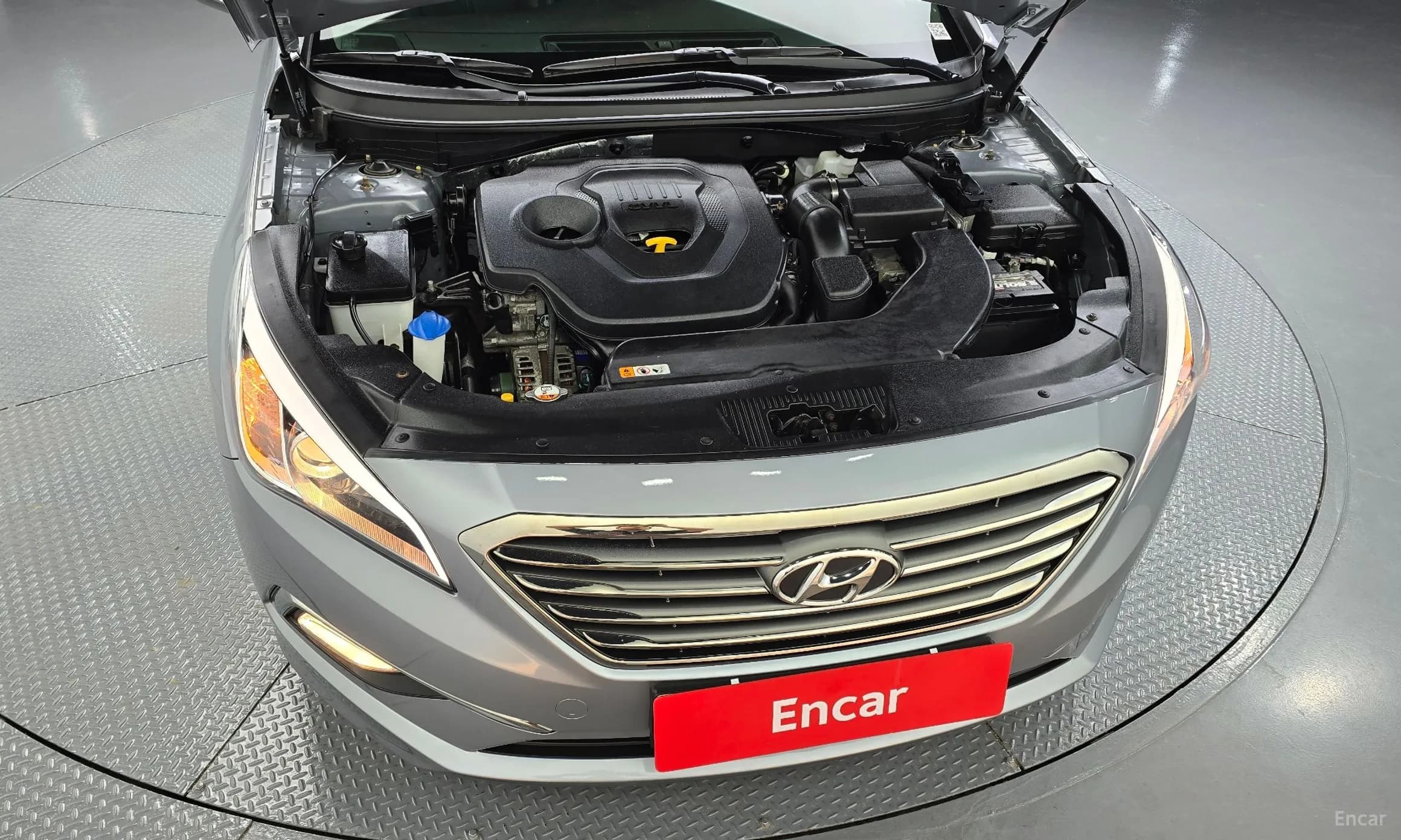 LF Sonata