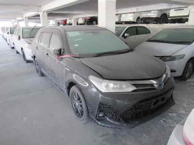 Toyota Corolla Fielder