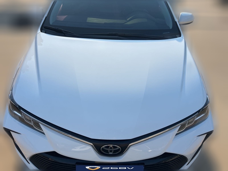 Аукционный лист