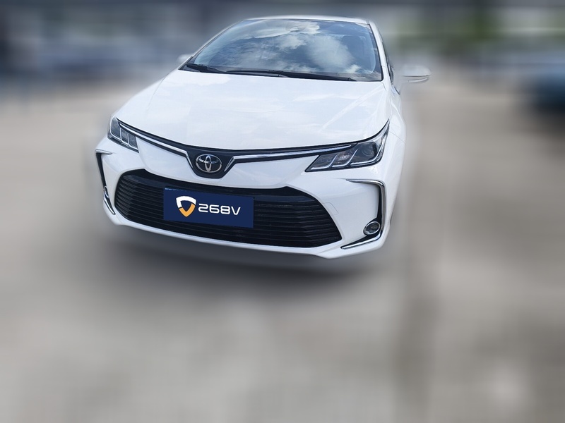 Аукционный лист