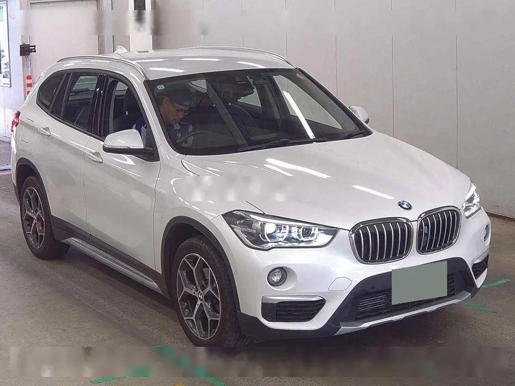 BMW X1 2018 год, пробег 42 тыс. км для Владимира