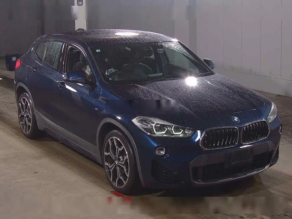 BMW X2 2019 год, пробег 34 тыс. км для Алексея