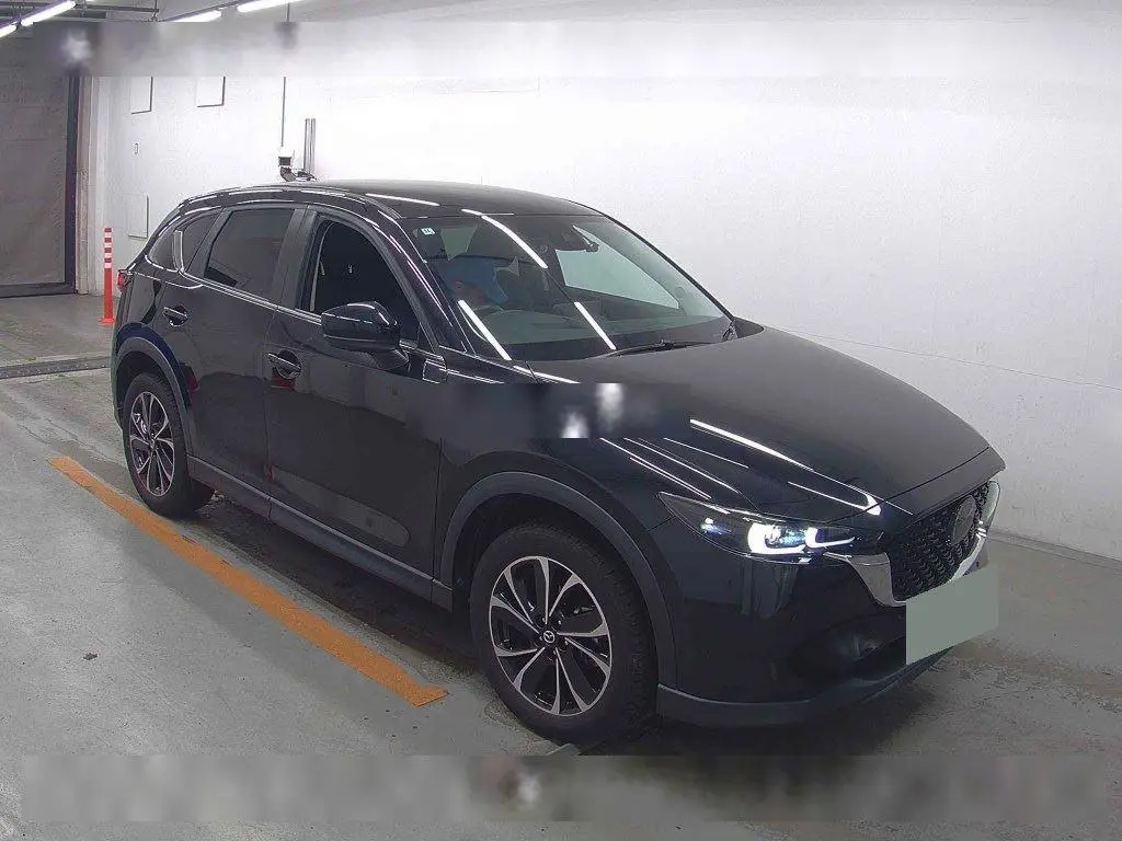 MAZDA CX-5 2022 год, пробег 22 тыс. км для Анны