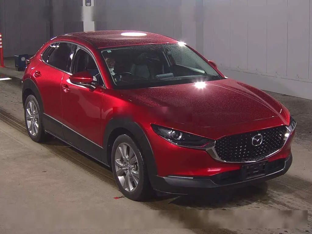 MAZDA CX-30 2022 год, пробег 22 тыс. км для Ольги