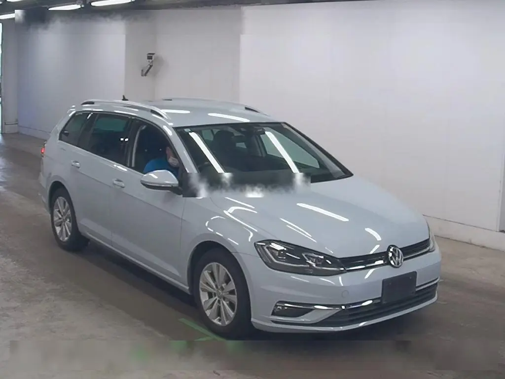 VOLKSWAGEN GOLF VARIANT TSI COMFORT LINE 2018 год, пробег 91 тыс. км для Сергея