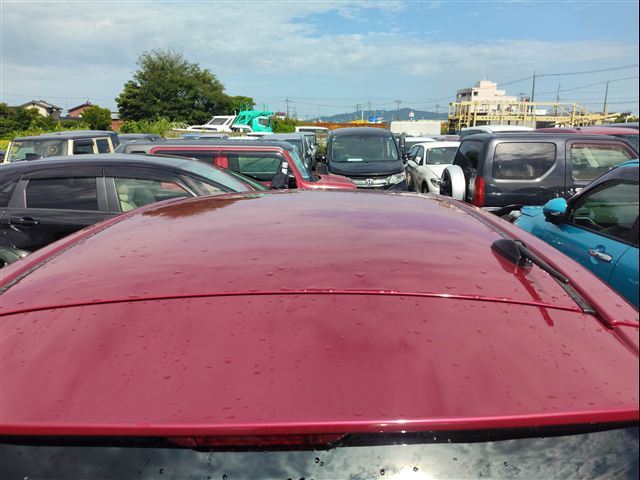 Toyota Passo sette