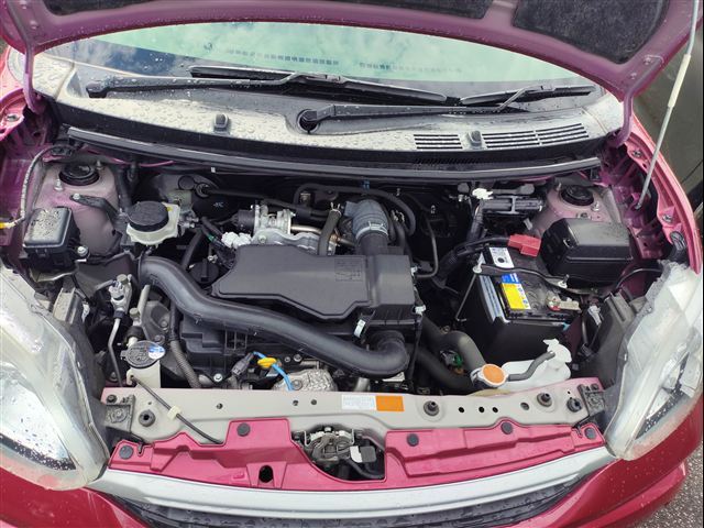 Toyota Passo sette
