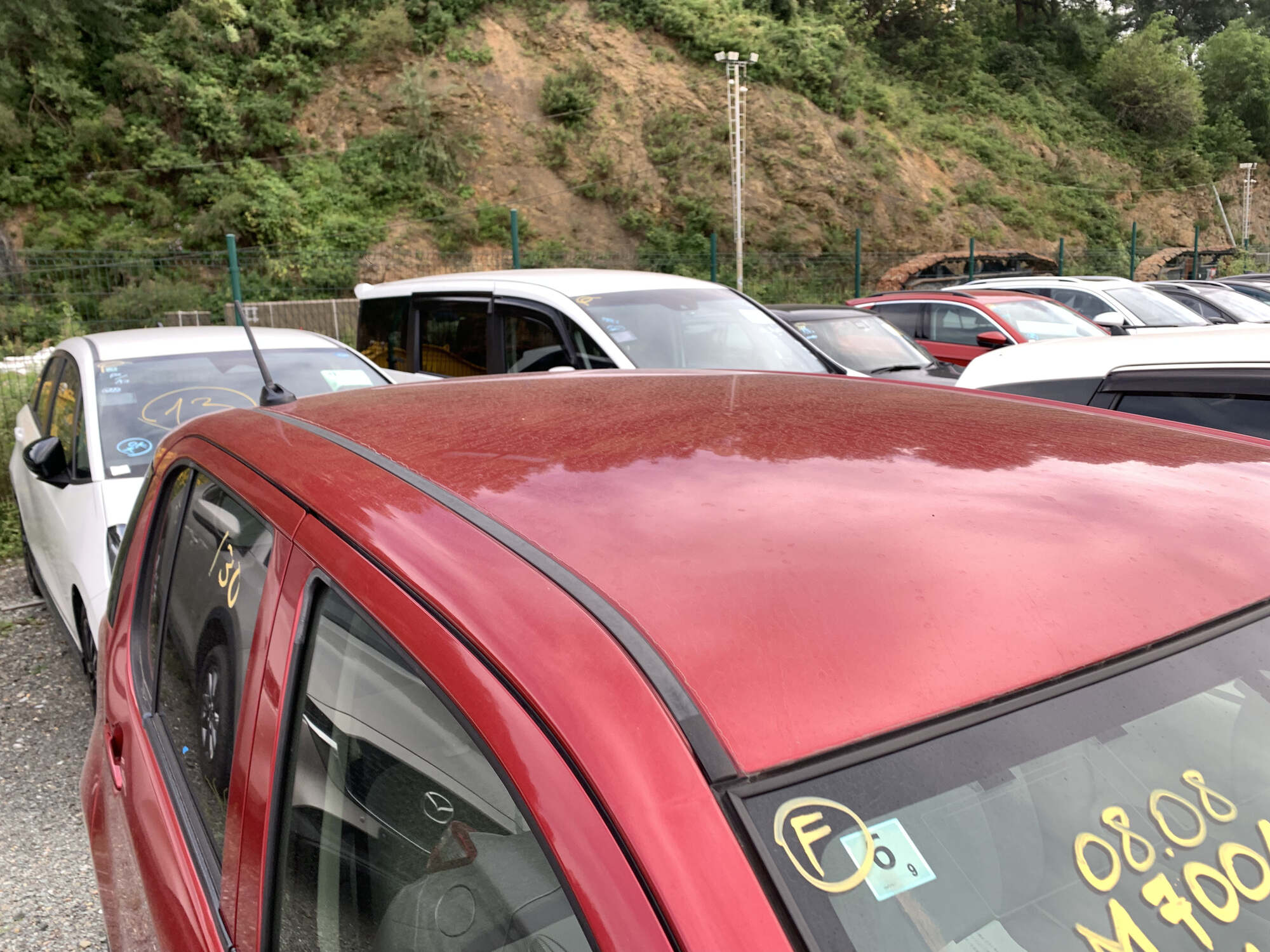 Toyota Passo sette