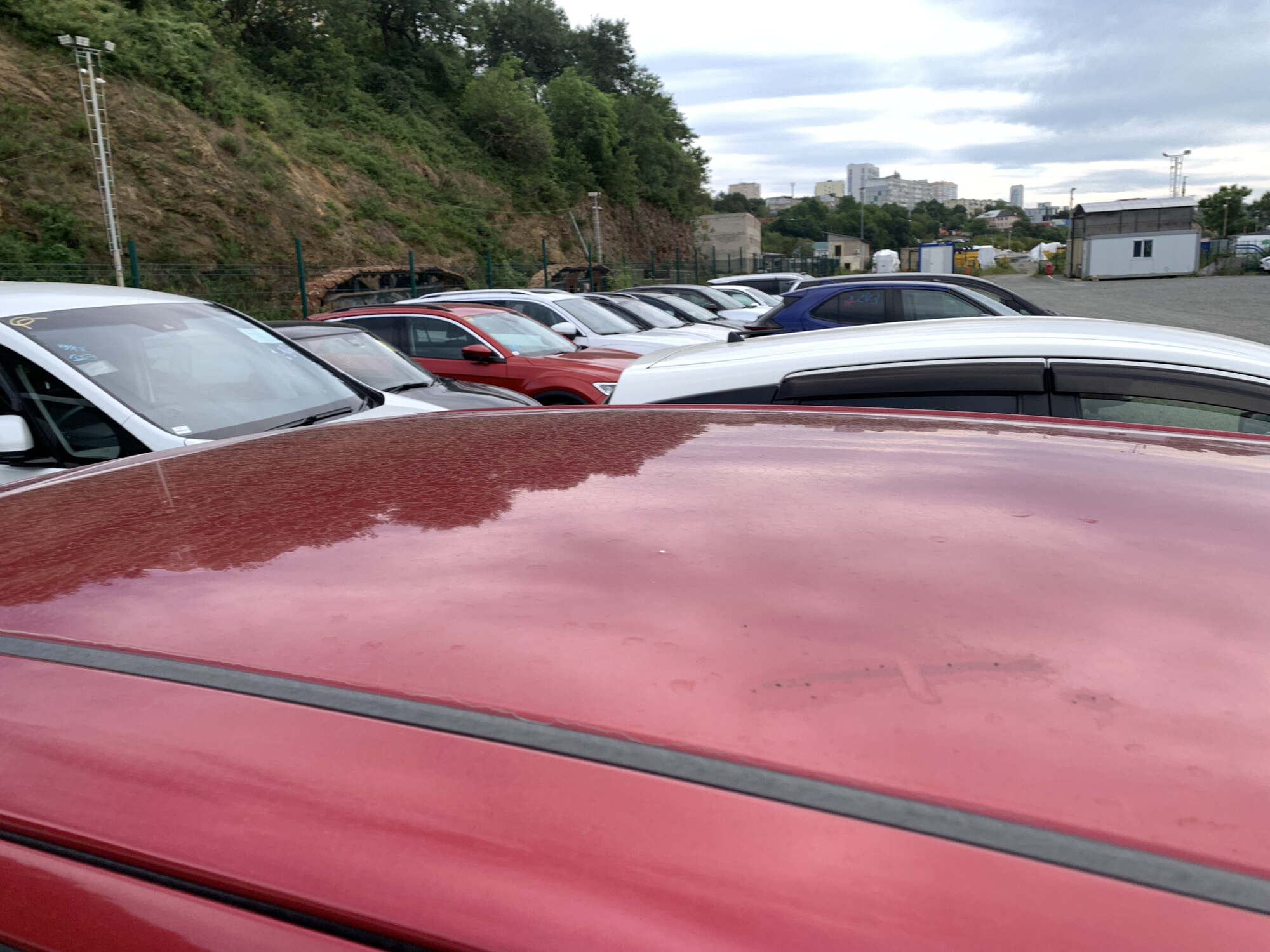 Toyota Passo sette