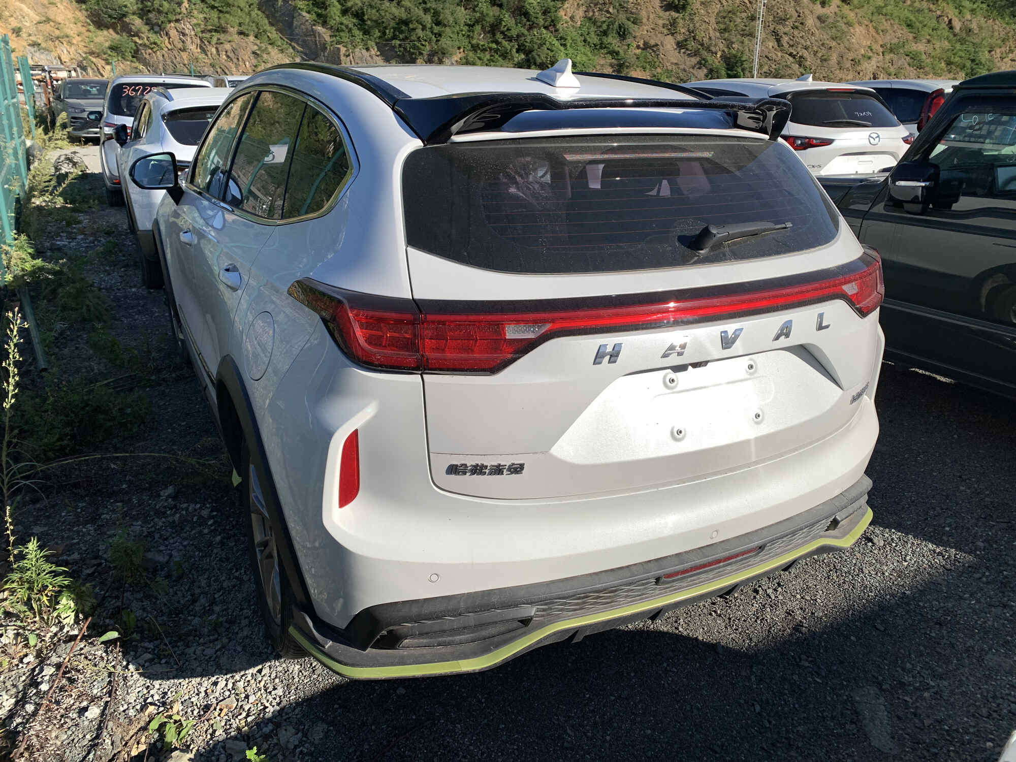 Haval Chitu