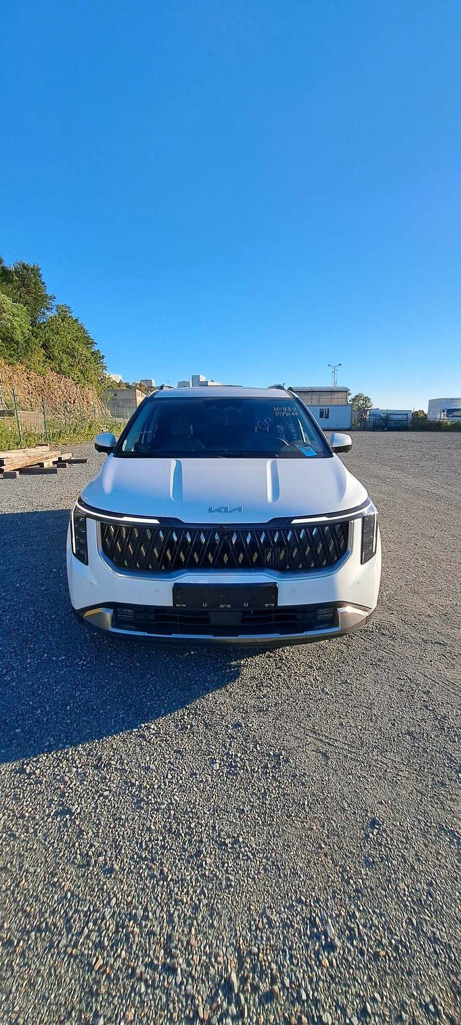 Kia Carnival, 2024